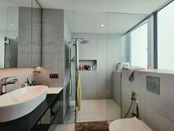 Park Infinia At Wee Nam (D11), Condominium #576717731